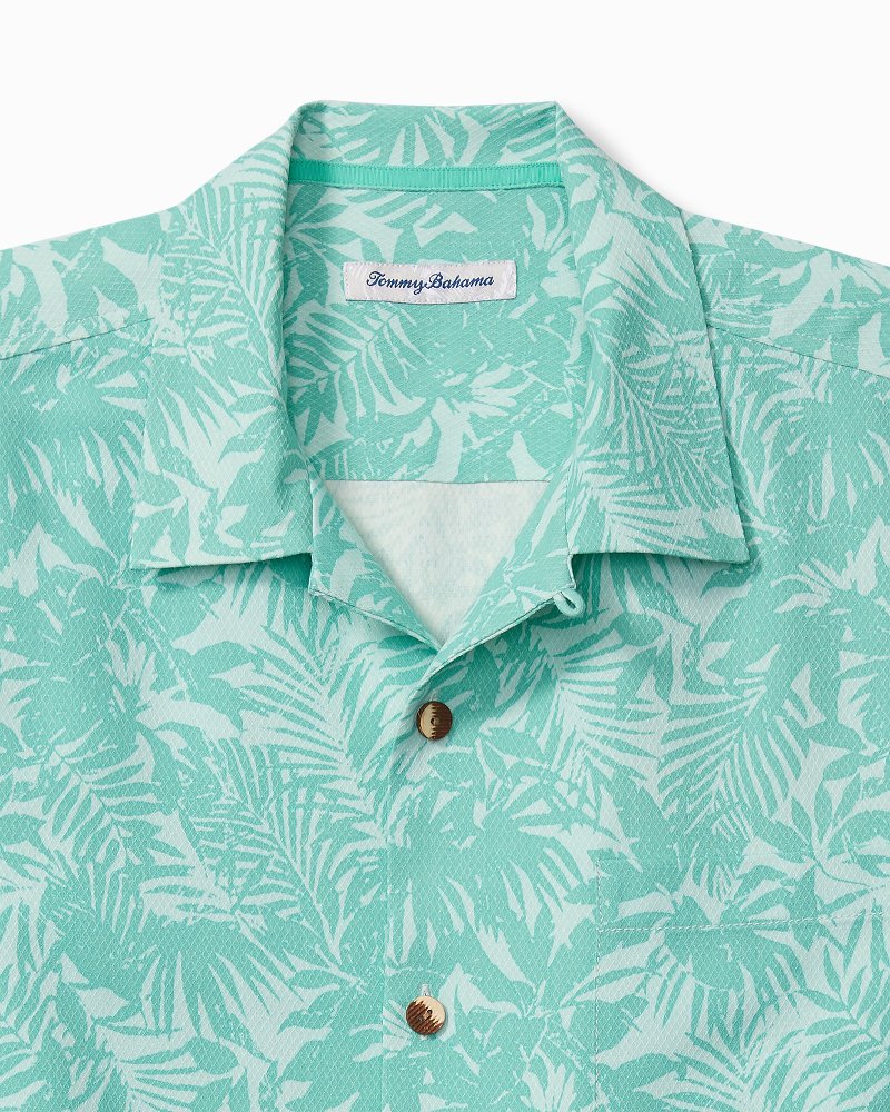 Palm Haven - Image 2