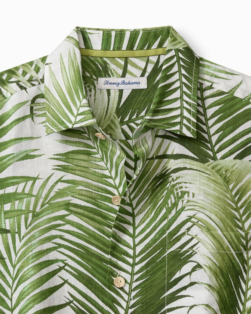 Palm Patrol - Image 2