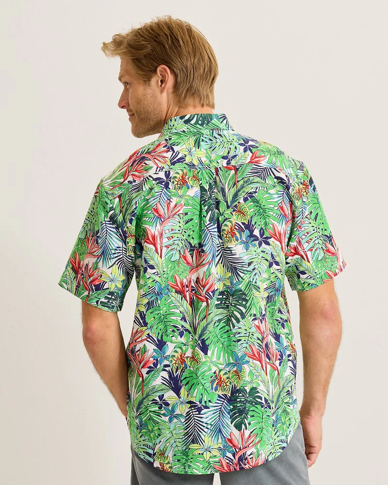 Sand Linen Verde Gardens Shirt - Image 4